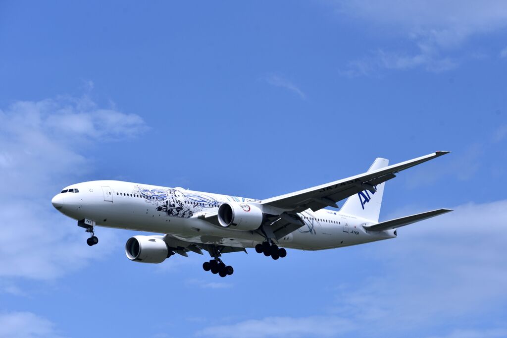 ANA 854