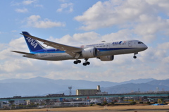 ANA 405