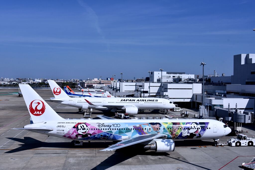 JAL 877
