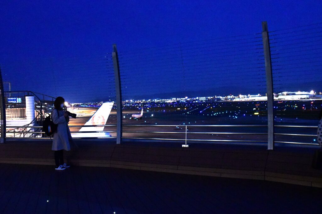 JAL 1264「ヒコ撮り女子」