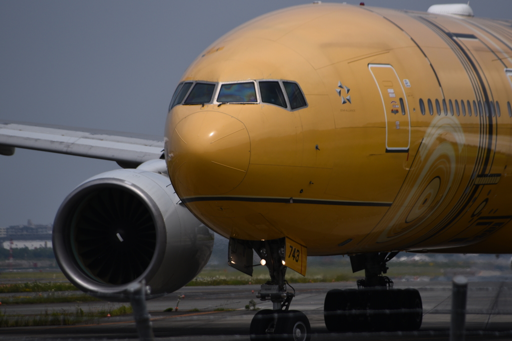 ANA 975