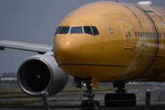 ANA 975