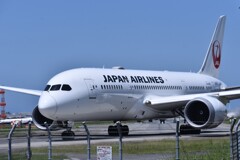 JAL 1041