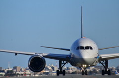 ANA 487