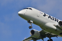 JAL 261