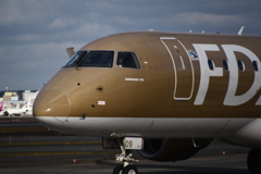 FDA 305