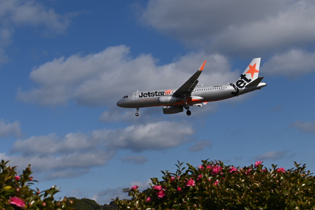 「初撮り2026」（JET 224）