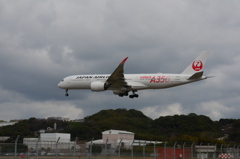 A350  JAL 04