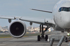 A350 JAL 28