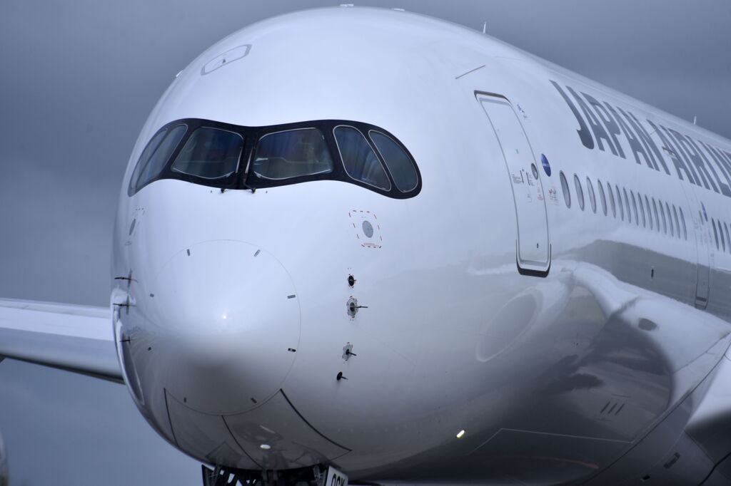 JAL 1071