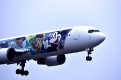 JAL 946