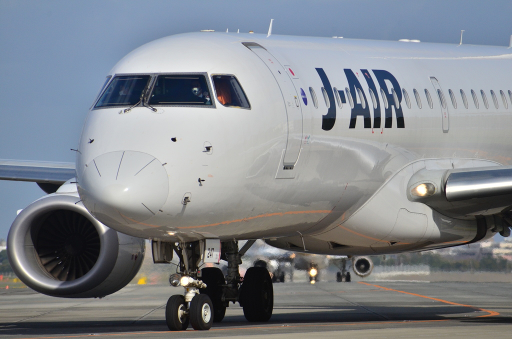 JAL 393