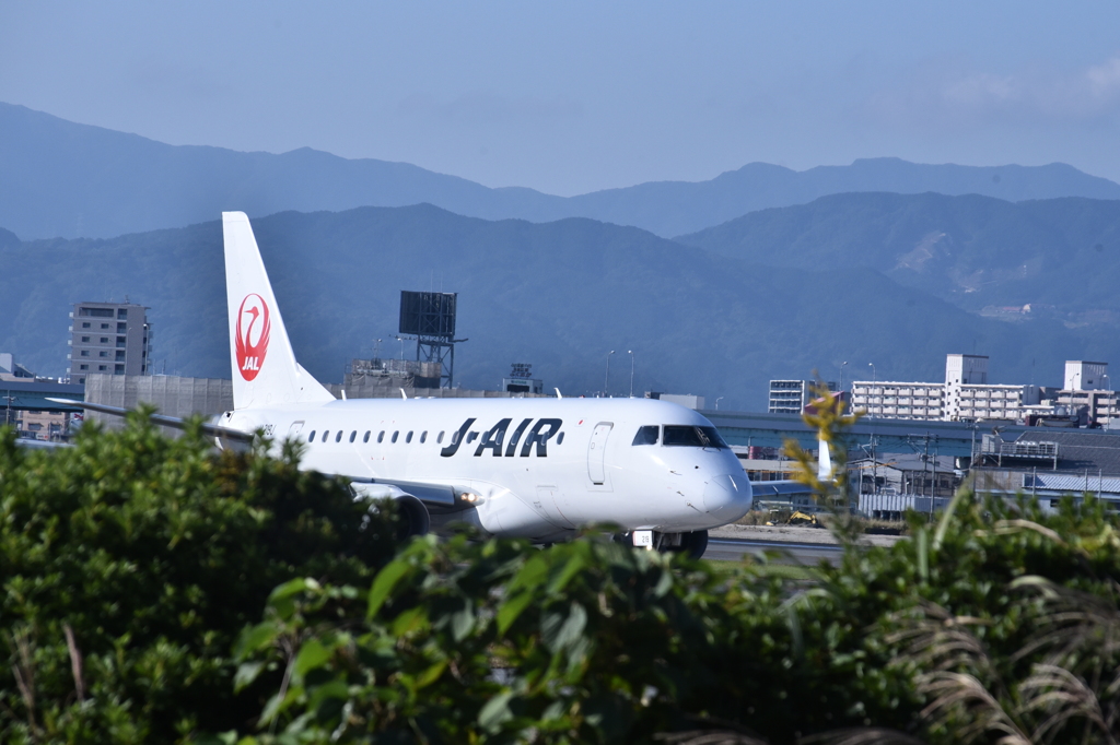 JAL 786