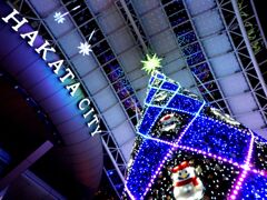 「イルミ2025」05