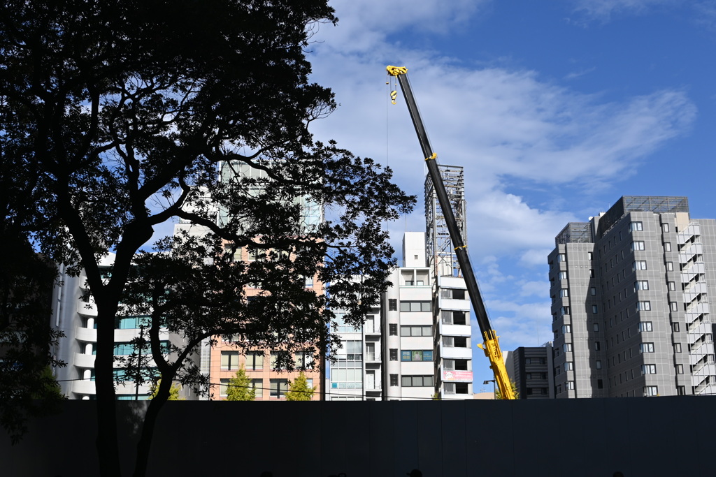 らんだむ。らんだむ。ラン！ラン！ラン！その百五十四「休日」