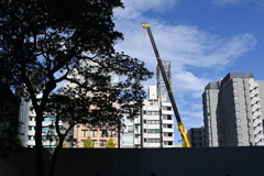 らんだむ。らんだむ。ラン！ラン！ラン！その百五十四「休日」