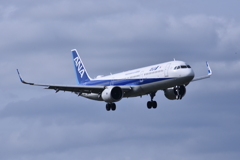ANA 505
