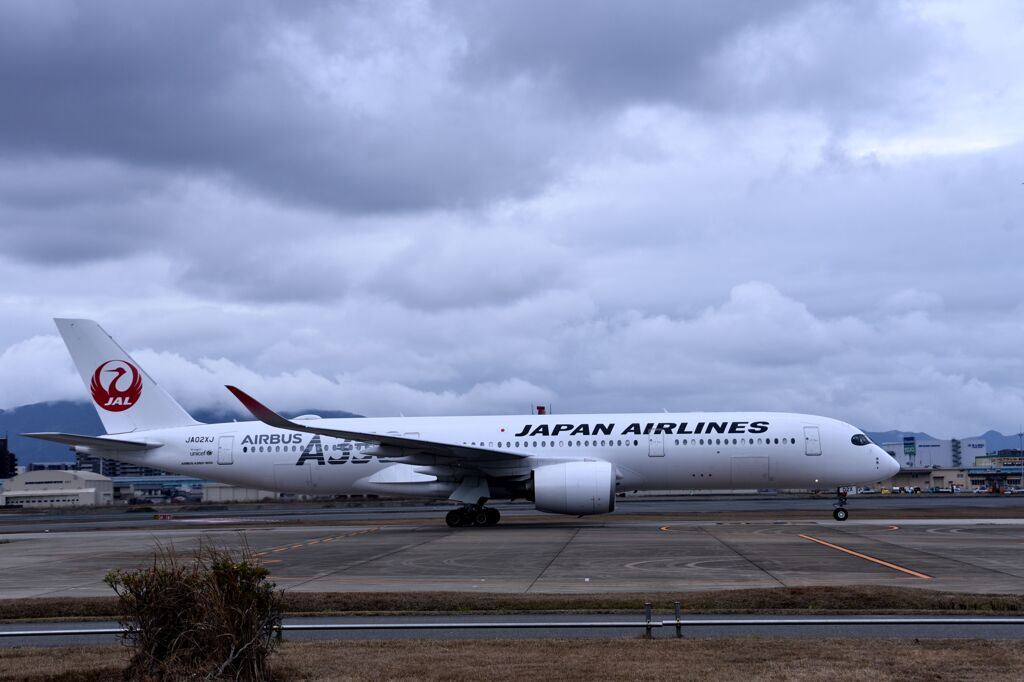 JAL 800