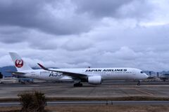 JAL 800
