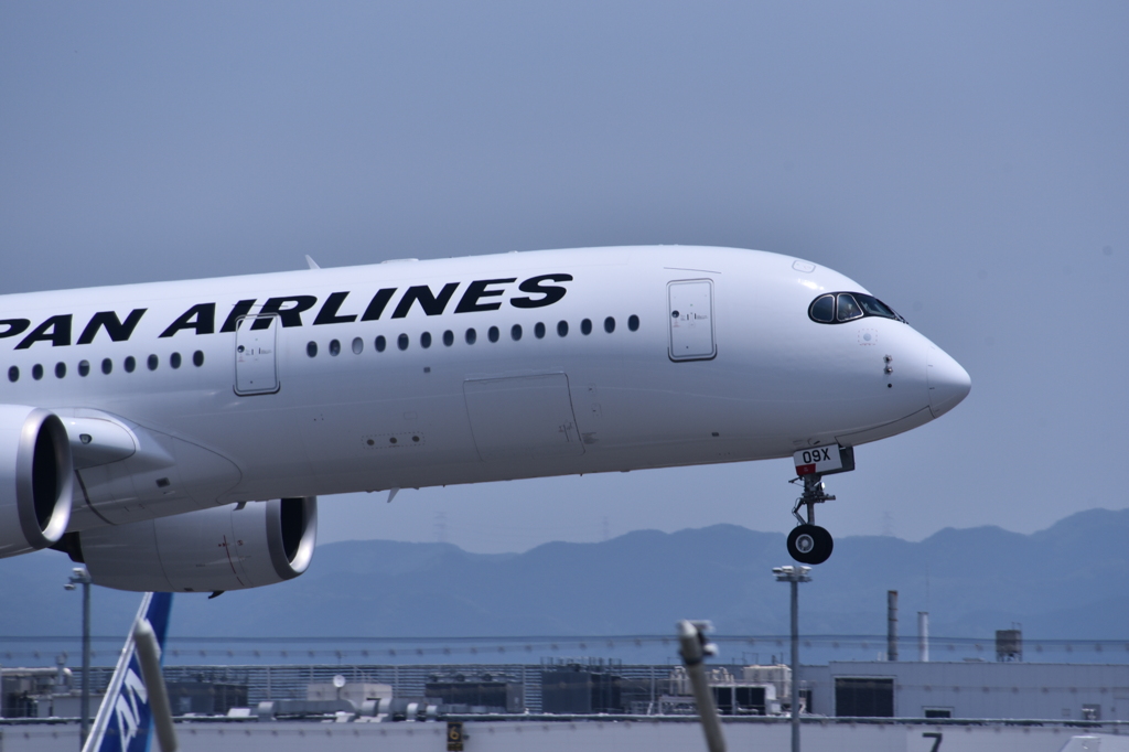 JAL 606
