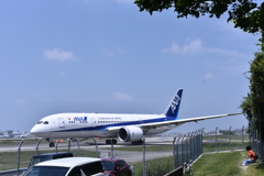 ANA 581