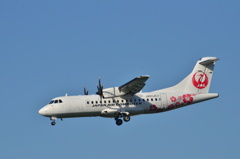 JAL 314