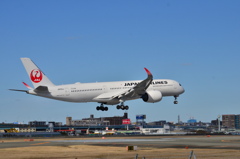 JAL 538