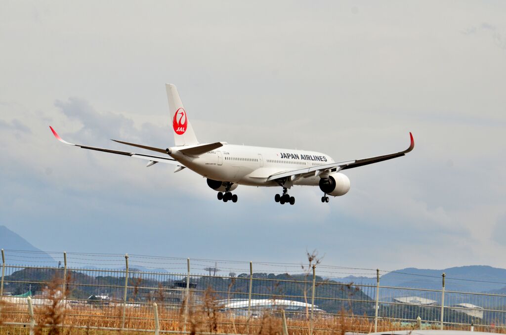 JAL 537