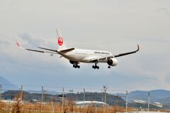 JAL 537
