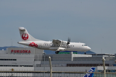 JAL 569