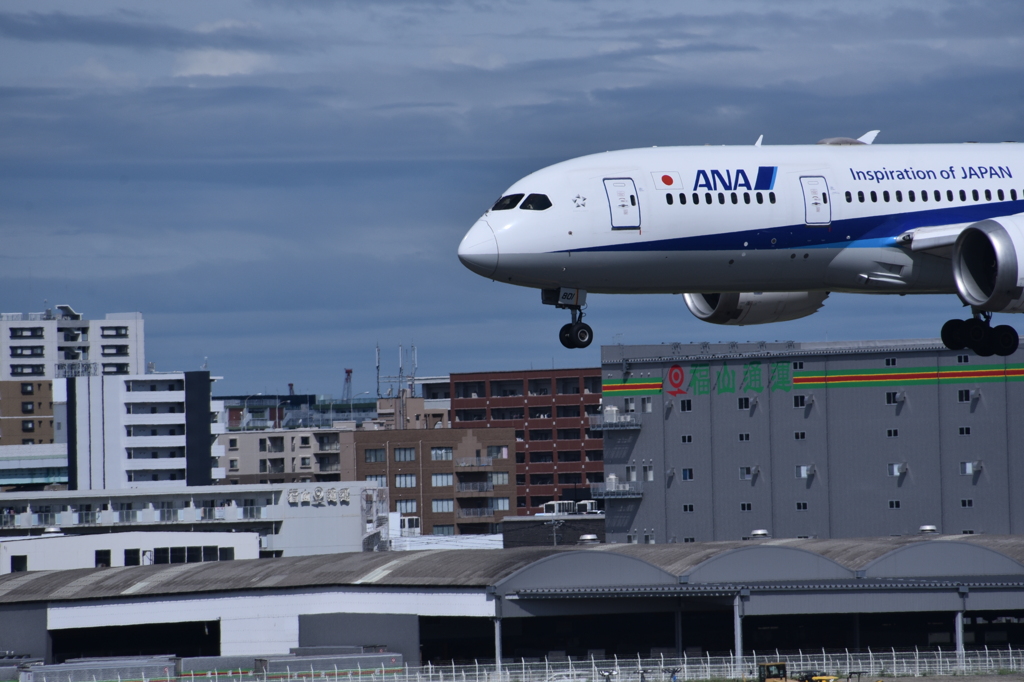 ANA 877
