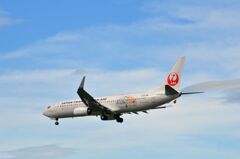 JAL 197