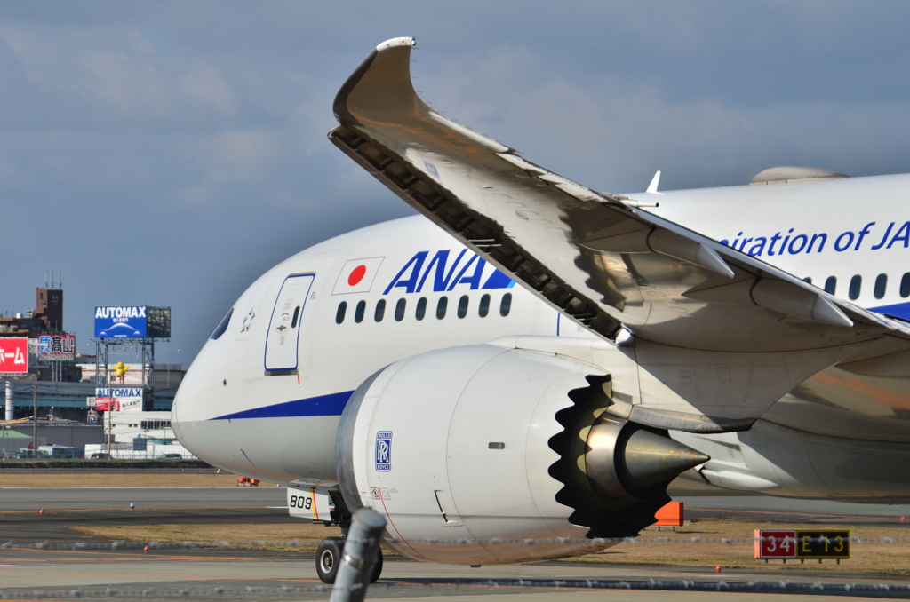 ANA 431