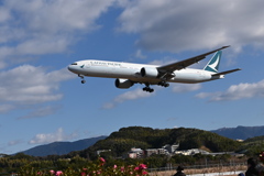 「人間なんてそんなもの」　NO1752