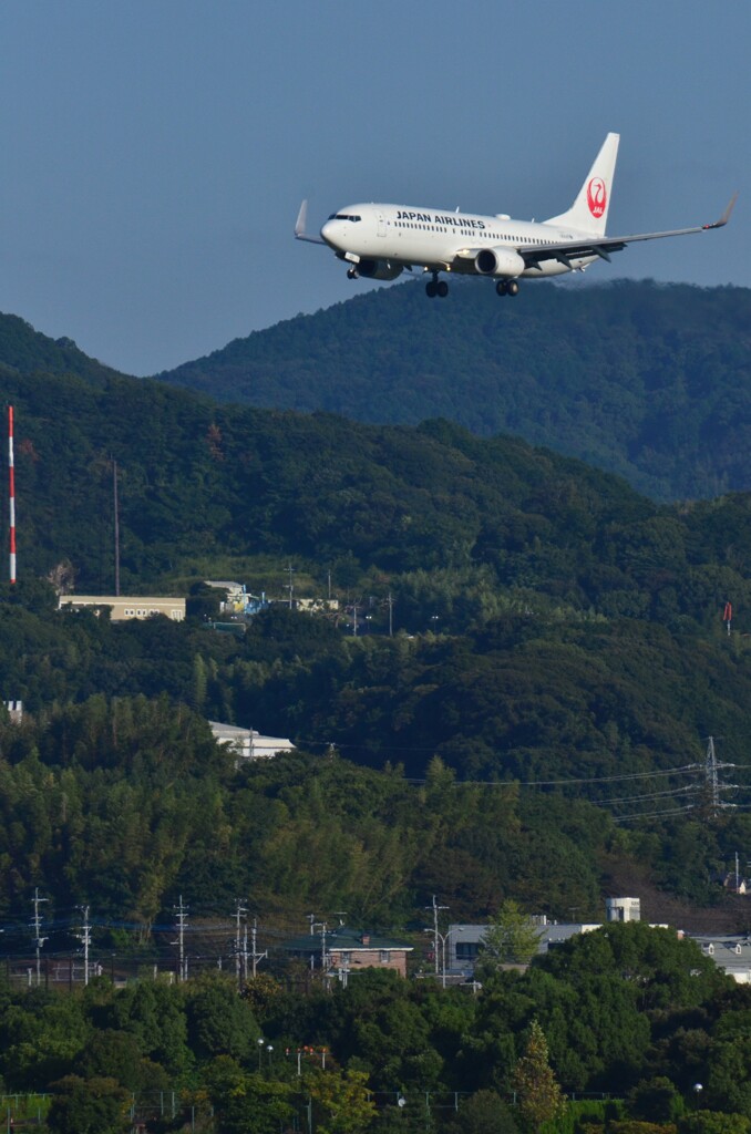 JAL 305