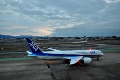 ANA 436