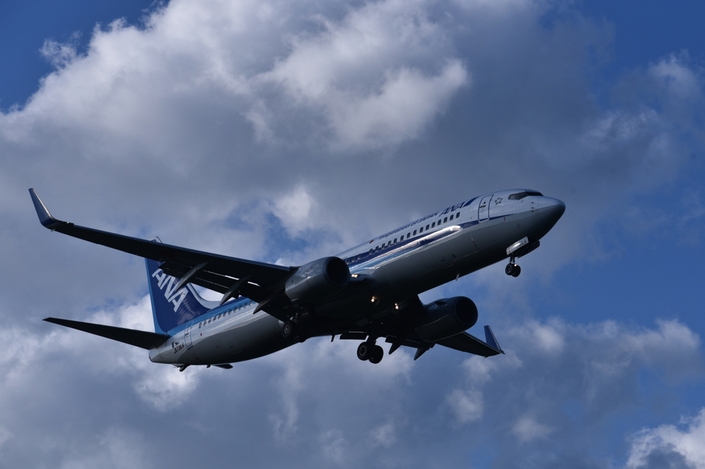 ANA 629