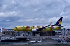 SKY 310