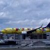 SKY 310