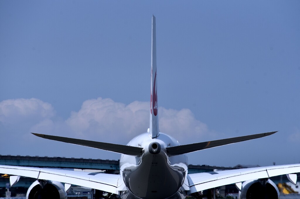 JAL 1005