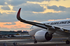 JAL 382
