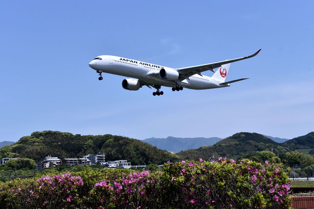JAL 919