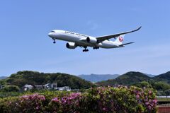 JAL 919