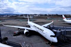 JAL 1157