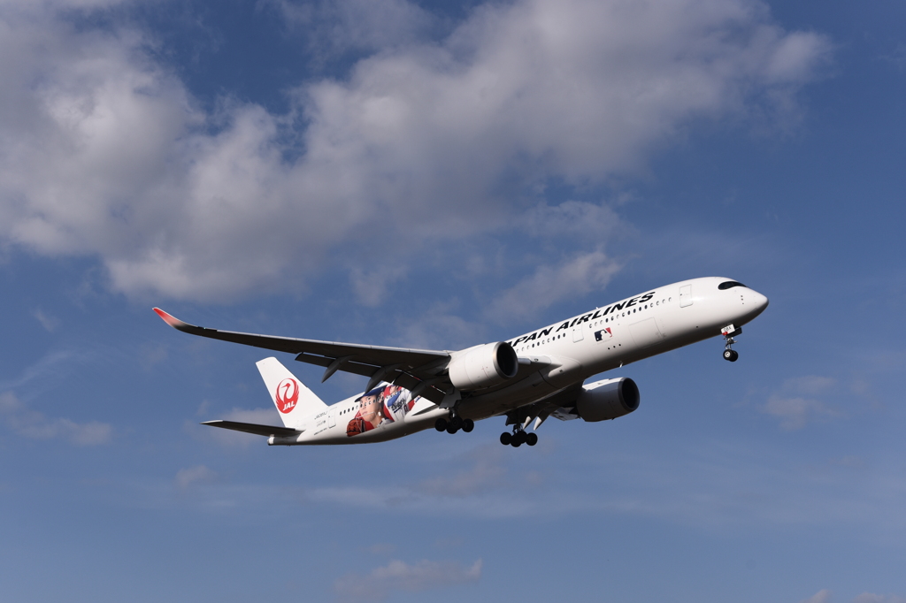 JAL 1269   日本航空    Airbus A350