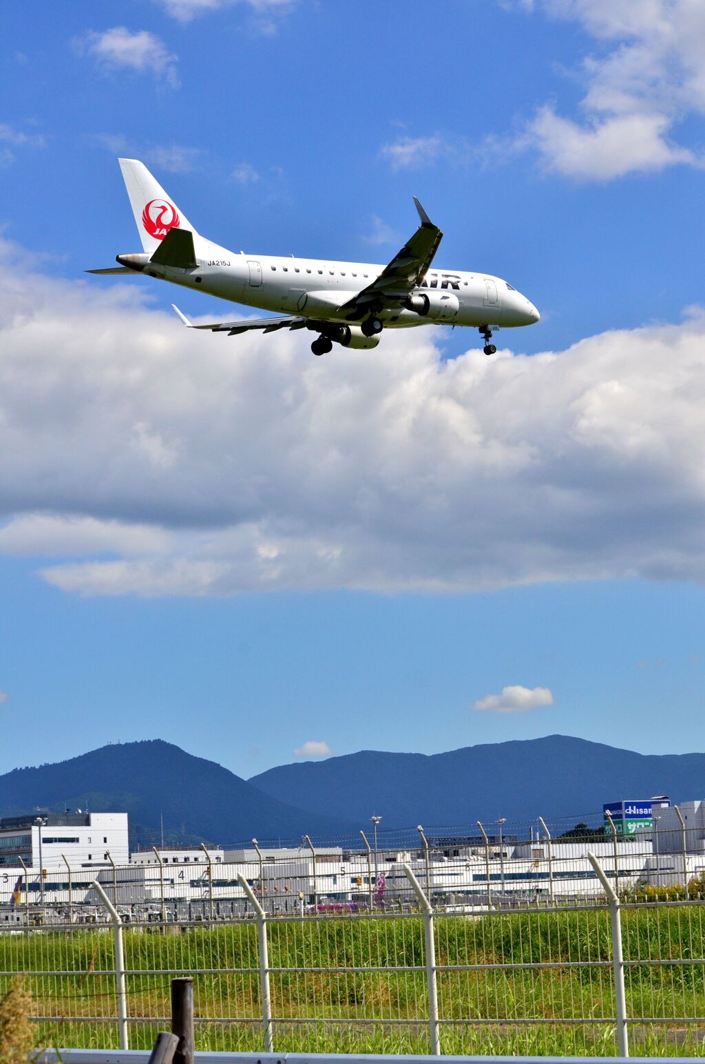 JAL 345