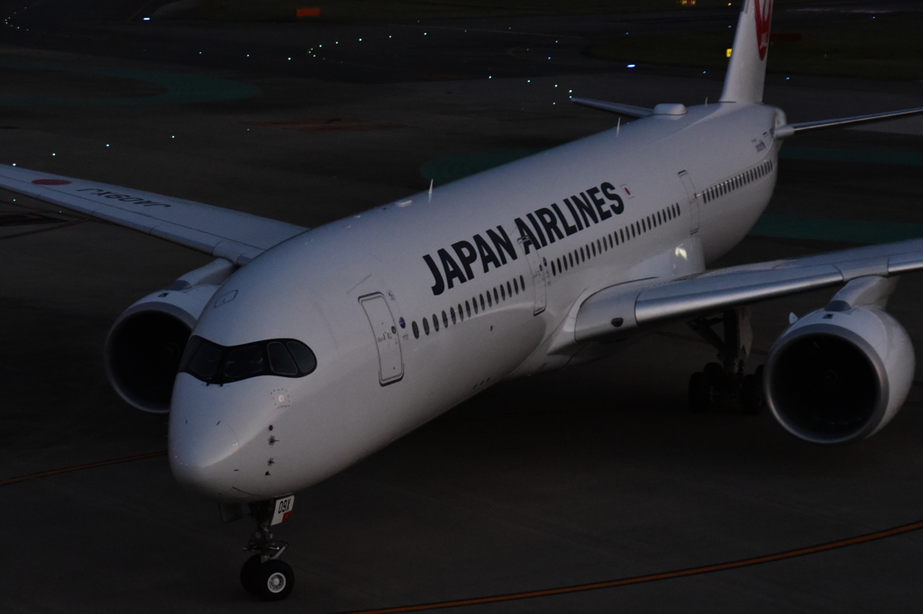 JAL 564