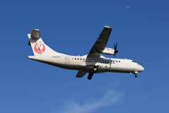 JAL1387