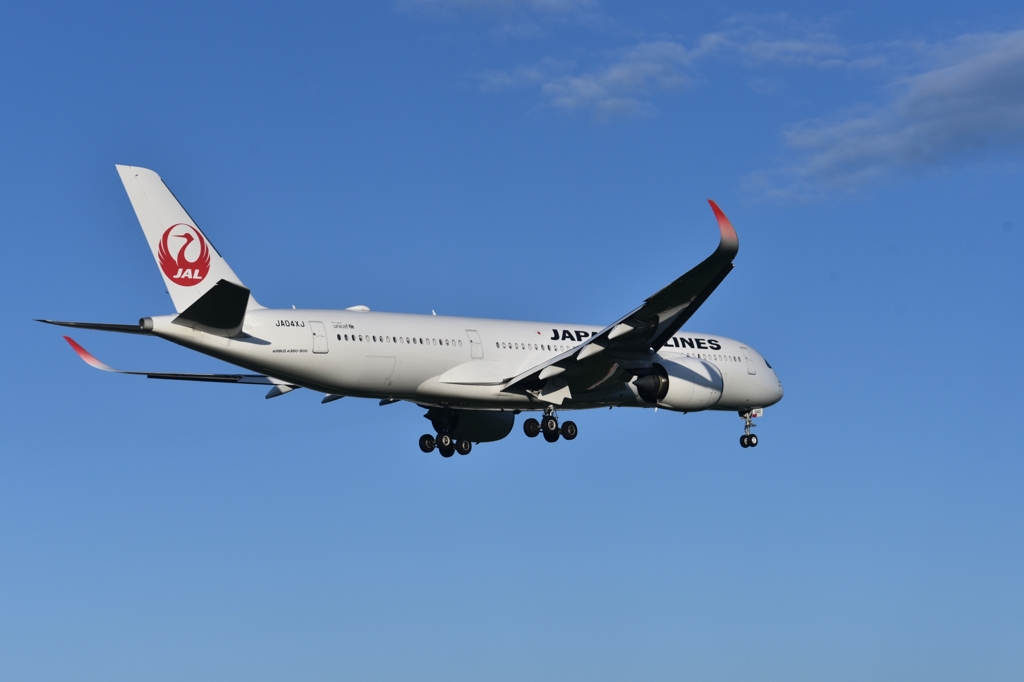 JAL 694