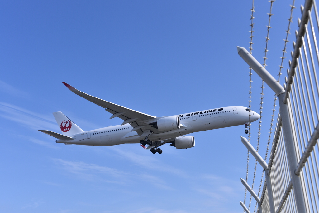 JAL 782